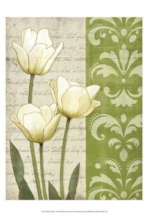 Framed White Tulips Print