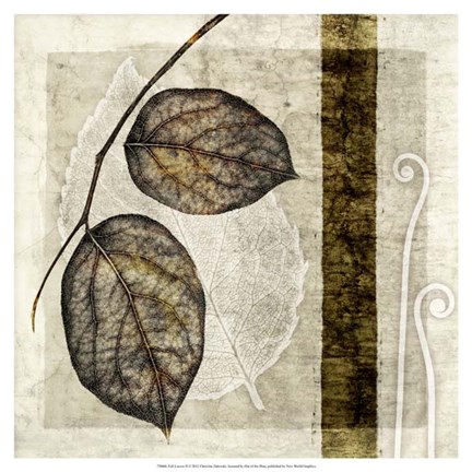 Framed Fall Leaves II Print