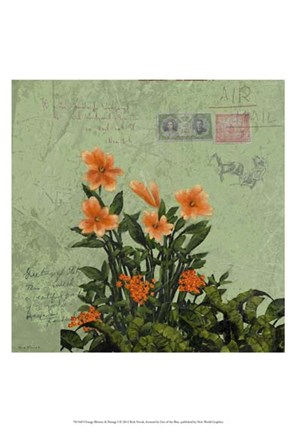 Framed Orange Blooms &amp; Postage I Print