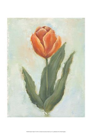 Framed Painted Tulips IV Print