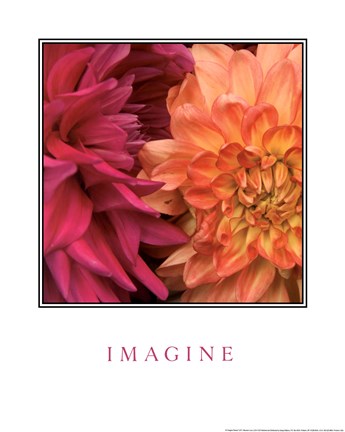 Framed Imagine Flowers Print