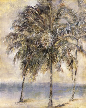 Framed Palm Hammock II Print