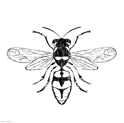 Framed Wasp Print