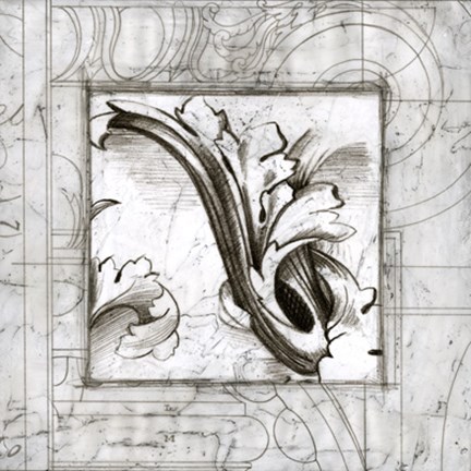 Framed Acanthus Detail II Print