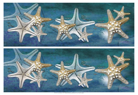 Framed 2-Up Starfish Print