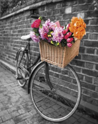 Framed Basket of Flowers II Print