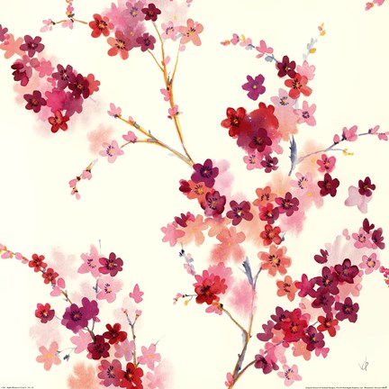 Framed Apple Blossoms Crop II Print