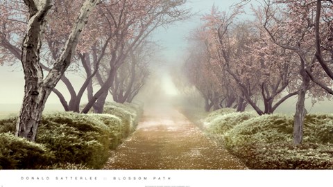 Framed Blossom Path Print