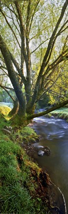 Framed Snowy Creek Vert Print