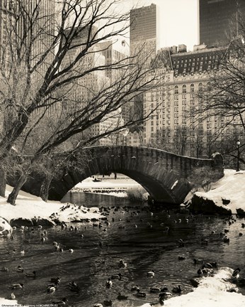 Framed Gapstow Bridge NYC Print