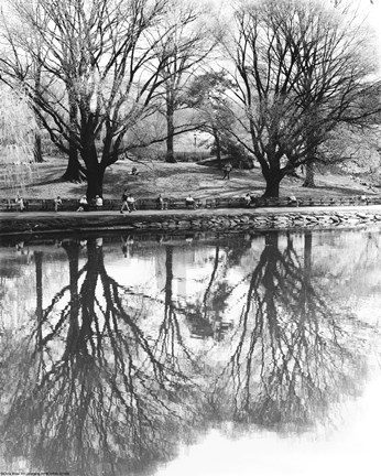 Framed Central Park Lake Print