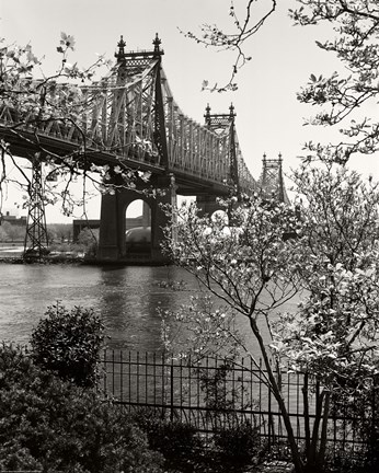 Framed 59Th Street Bridge Print