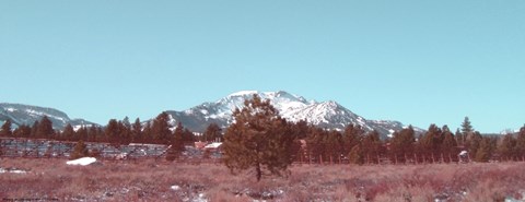 Framed Mammoth Mountain Print