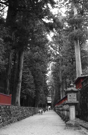 Framed Road To The Temple Print