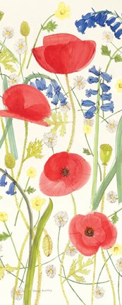 Framed Meadow Poppies III Print