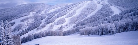 Framed Mountains, Snow, Steamboat Springs, Colorado, USA Print