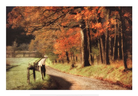 Framed Autumn&#39;s Morning Light Print