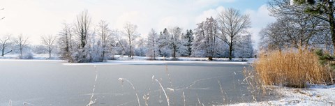 Framed Snow covered trees near a lake, Lake Schubelweiher Kusnacht, Zurich, Switzerland Print