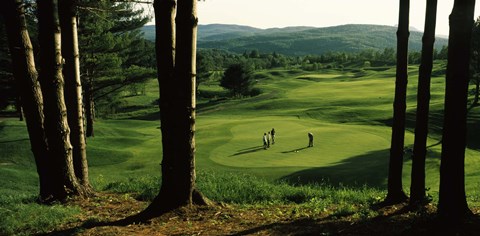 Framed Four people playing golf, Country Club Of Vermont, Waterbury, Washington County, Vermont, USA Print