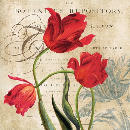 Framed Botanist&#39;s Repository Print