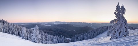 Framed Snow covered trees on a hill, Belchen Mountain, Black Forest, Baden-Wurttemberg, Germany Print