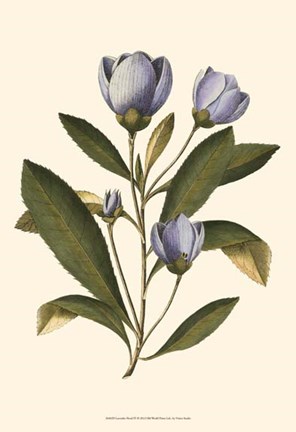 Framed Lavender Floral IV Print