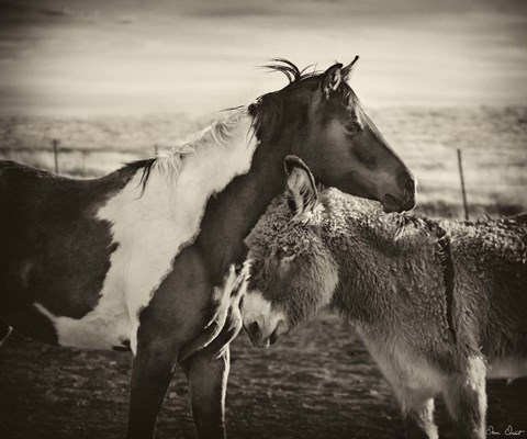 Framed Kissing Horses II Print