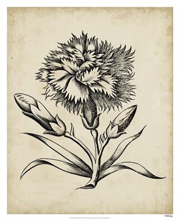 Framed Distinguished Floral III Print
