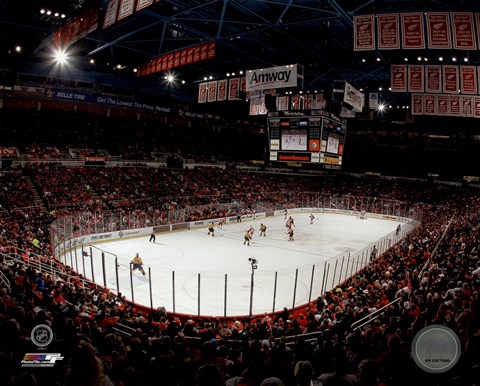 Framed Joe Louis Arena 2013 Print