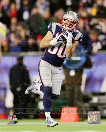 Framed Danny Amendola 2013 in action Print