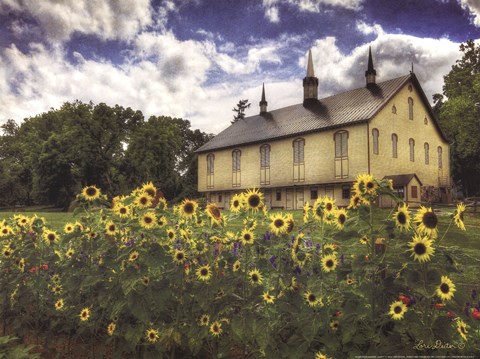 Framed Sunflower Garden Print