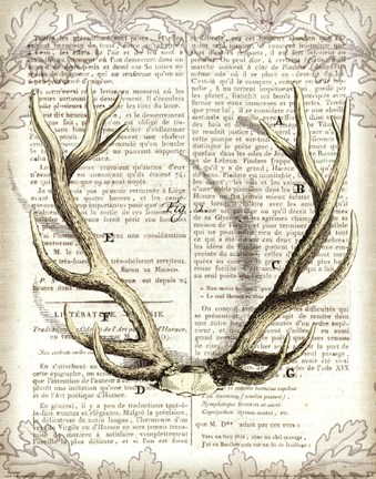 Framed Regal Antlers on Newsprint I Print