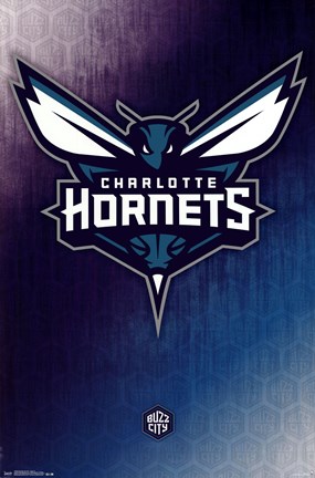 Framed Charlotte Hornets - Logo 14 Print