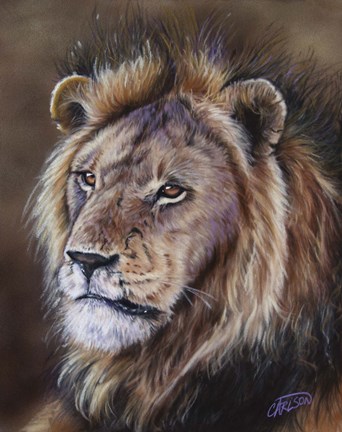 Framed Black-Maned Lion Print