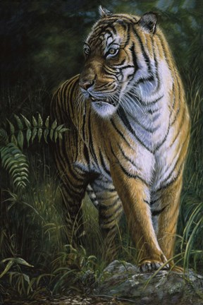 Framed Tiger! Tiger! Print