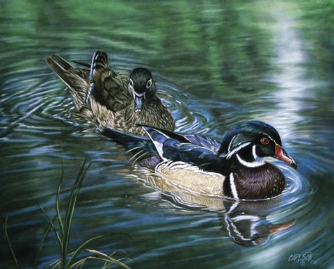 Framed Wood Ducks Print