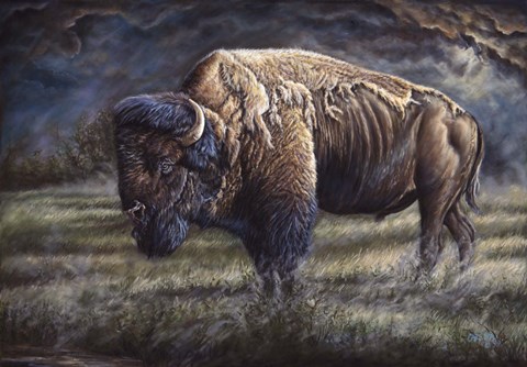 Framed Spirit Of The Plains (Bison) Print