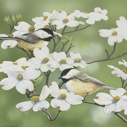 Framed Springtime And Chickadees Print