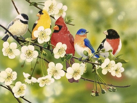 Framed Songbirds On a Flowering Branch Print