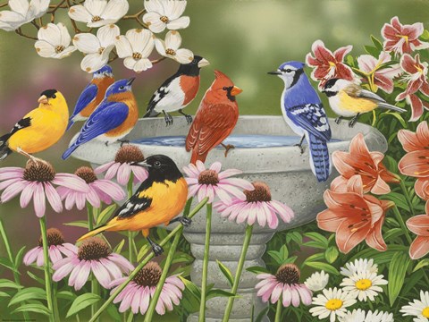 Framed Garden Birdbath Print