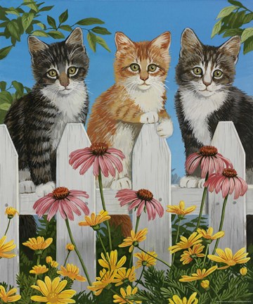 Framed Backyard Kittens Print