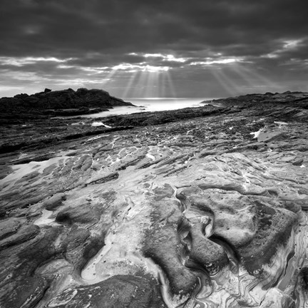 Framed Sunset at Point Lobos Print