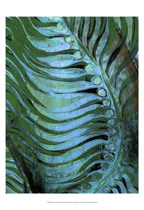 Framed Emerald Feathering II Print