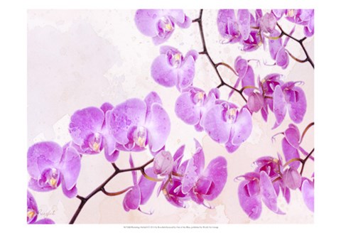 Framed Fluttering Orchid I Print