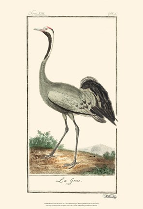 Framed Buffon Cranes &amp; Herons IV Print