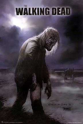 Framed Walking Dead - Season 3 Zombie Print