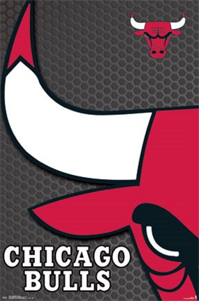 Framed Chicago Bulls - Logo 14 Print