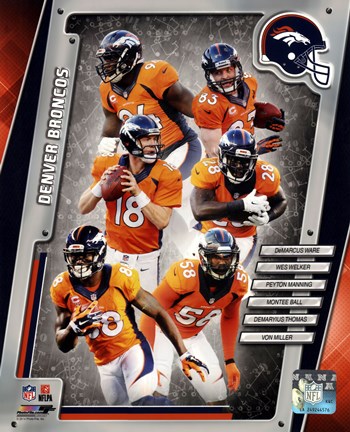 Framed Denver Broncos 2014 Team Composite Print