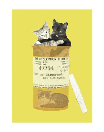 Framed Kitten Prescription Print