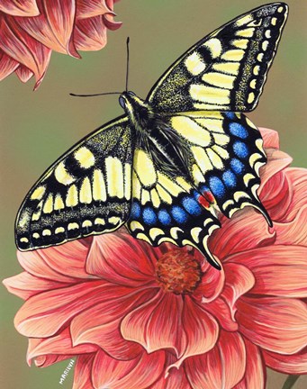 Framed Yellow Swallowtail Butterfly Print